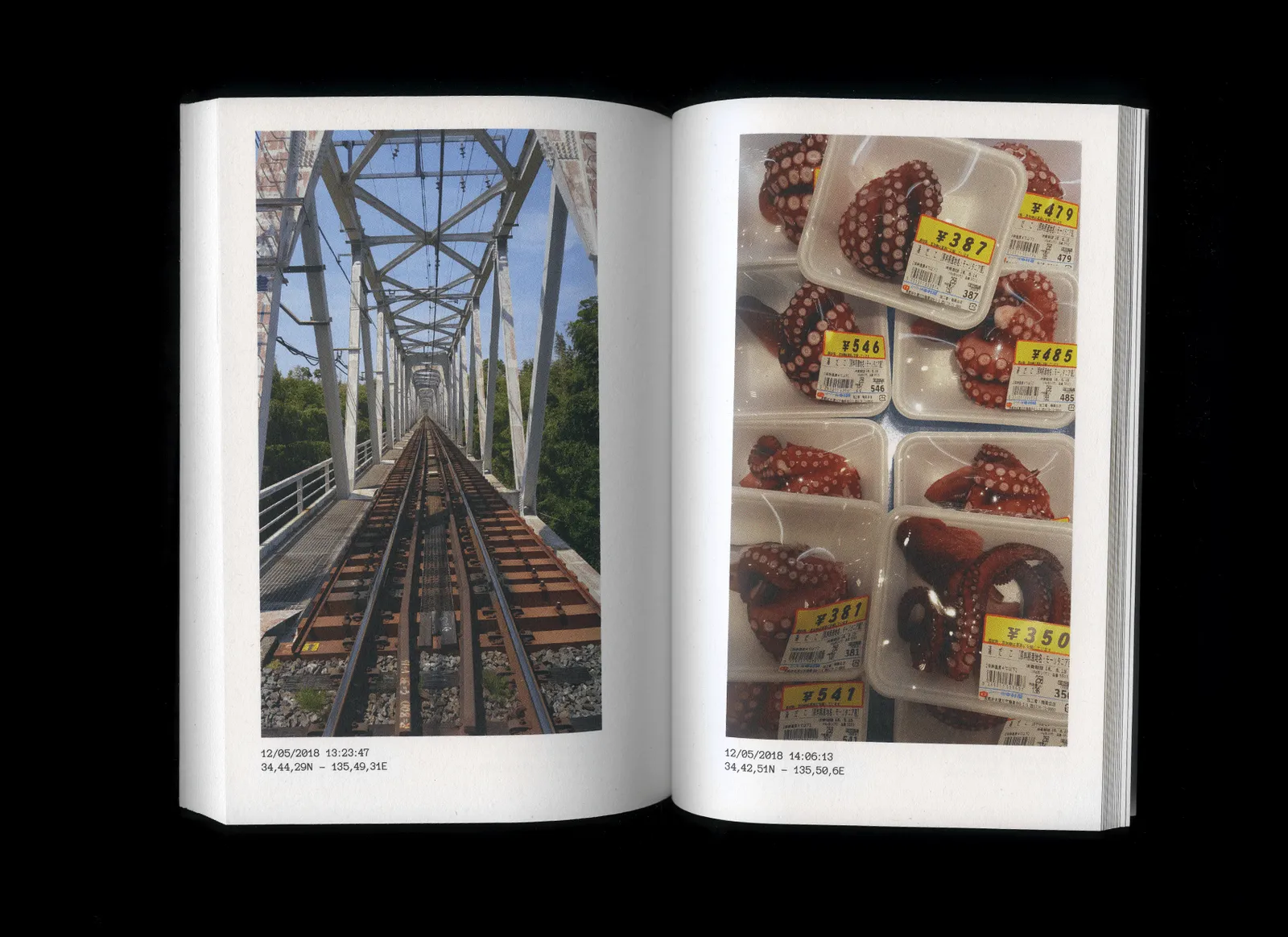 Raw images of Japan - Image 5 sur 7