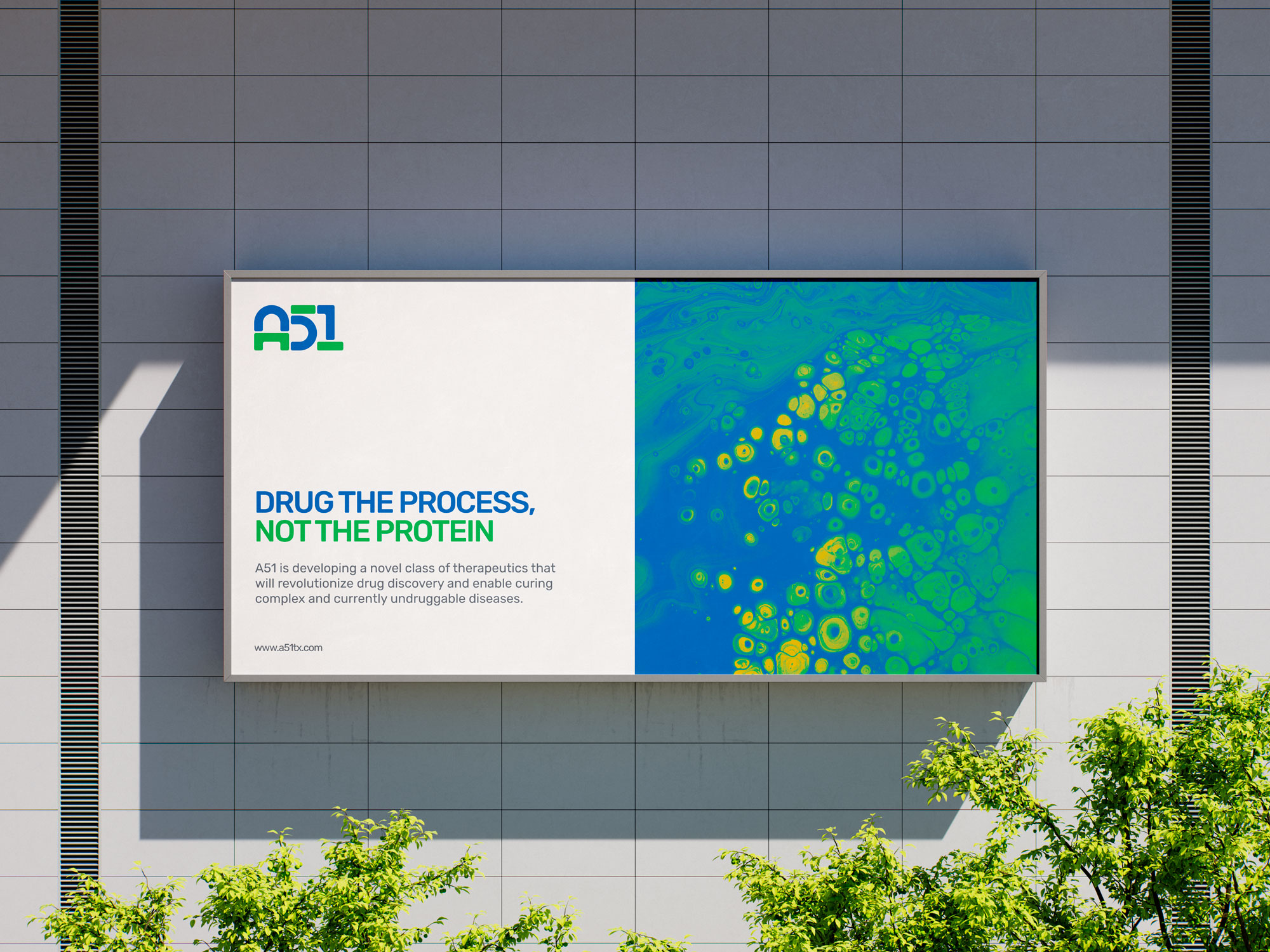 Treating Disease at the Source pour A51 - Image 2 sur 2